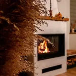 Vadgesztenyes Vendeghaz