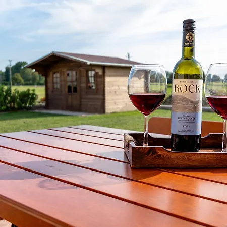 Vadgesztenyés Сasa de vacaciones